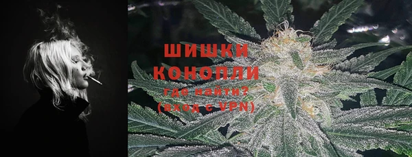PSILOCYBIN Алексеевка