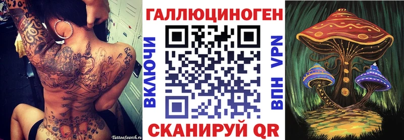 omg онион  Коломна  Галлюциногенные грибы Psilocybine cubensis 