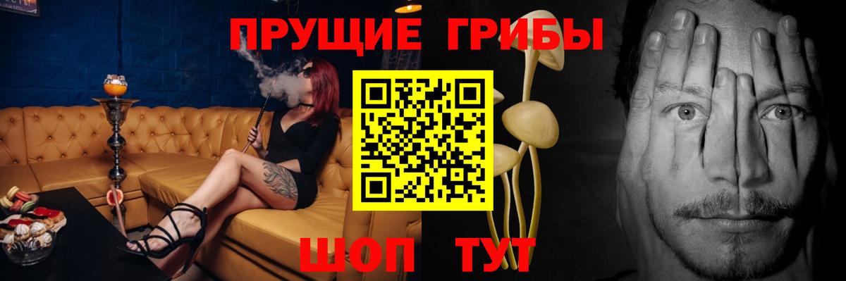 Коломна  Галлюциногенные грибы Psilocybine cubensis  Вход с VPN  Галлюциногенные грибы Psilocybe 